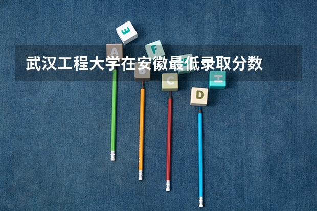 武汉工程大学在安徽最低录取分数