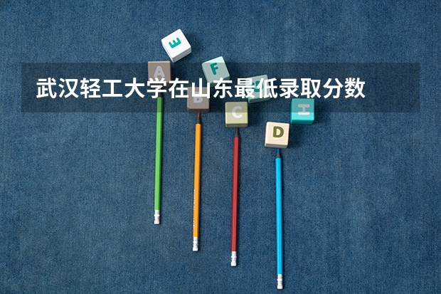 武汉轻工大学在山东最低录取分数