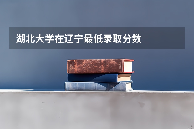 湖北大学在辽宁最低录取分数
