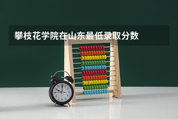 攀枝花学院在山东最低录取分数
