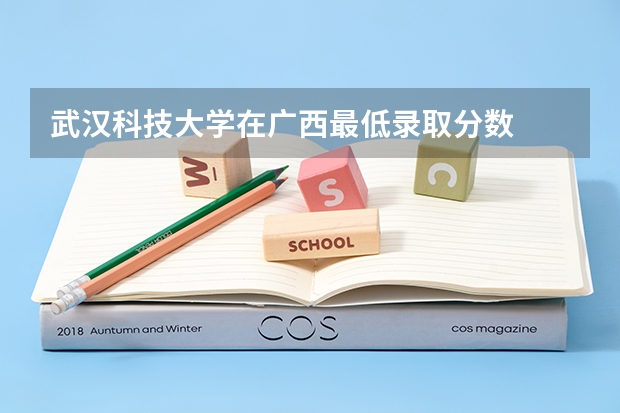 武汉科技大学在广西最低录取分数