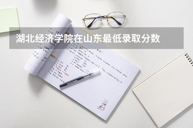 湖北经济学院在山东最低录取分数