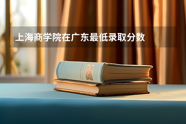 上海商学院在广东最低录取分数