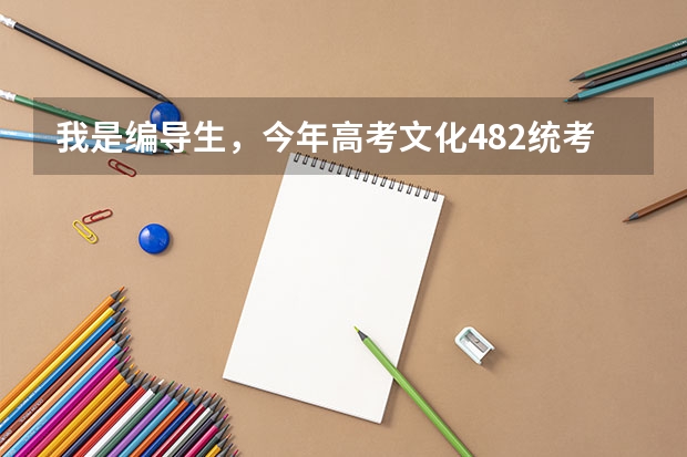 我是编导生,今年高考文化482统考专业202,想问一下如何填征集志愿录取几率才能更大