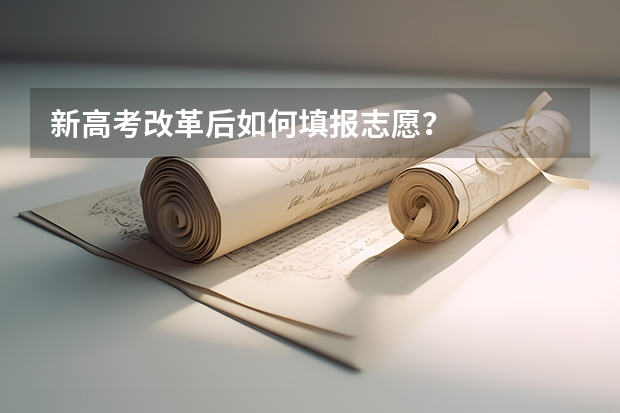新高考改革后如何填报志愿?