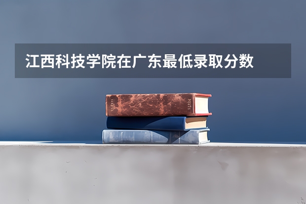 江西科技学院在广东最低录取分数