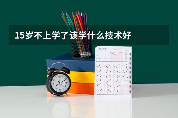 15岁不上学了该学什么技术好