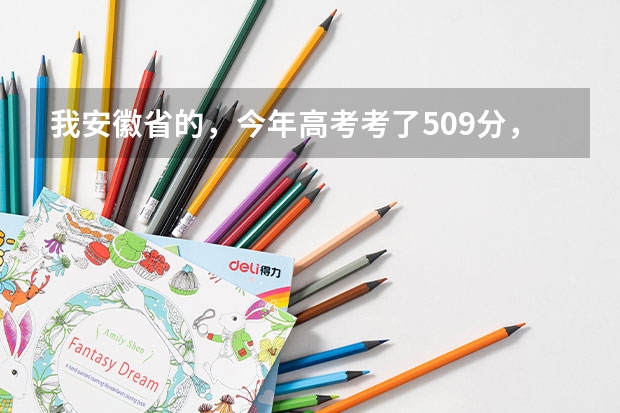 我安徽省的，今年高考考了509分，我是文科生，比二本线高8分，请问我能在安徽省内上哪些比较好的学校？