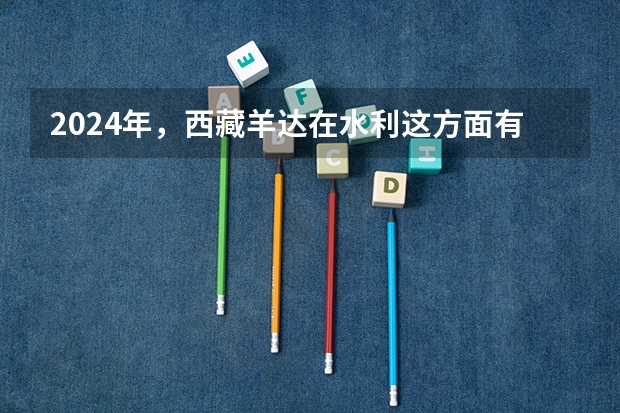 2024年，西藏羊达在水利这方面有什么进步吗？