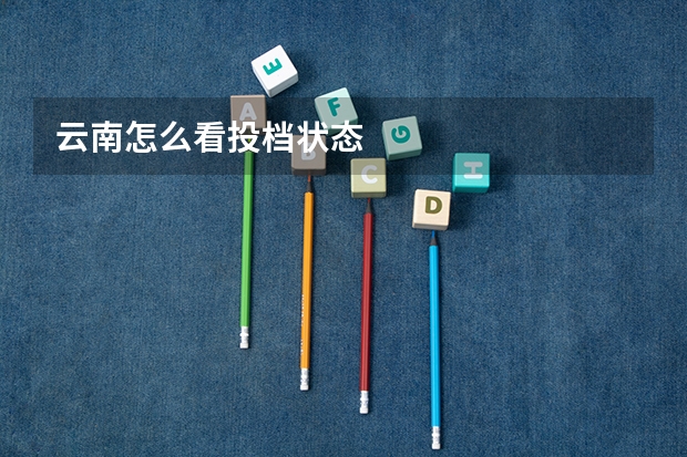 云南怎么看投档状态