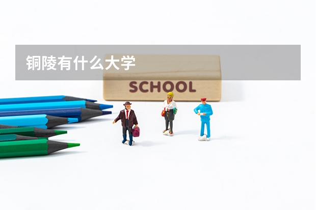 铜陵有什么大学