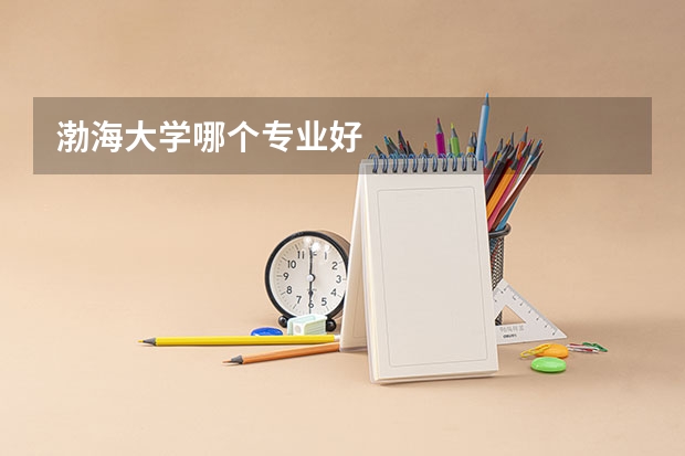 渤海大学哪个专业好