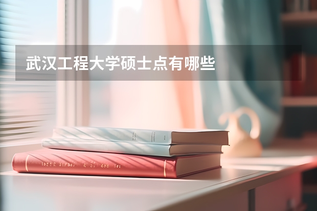 武汉工程大学硕士点有哪些