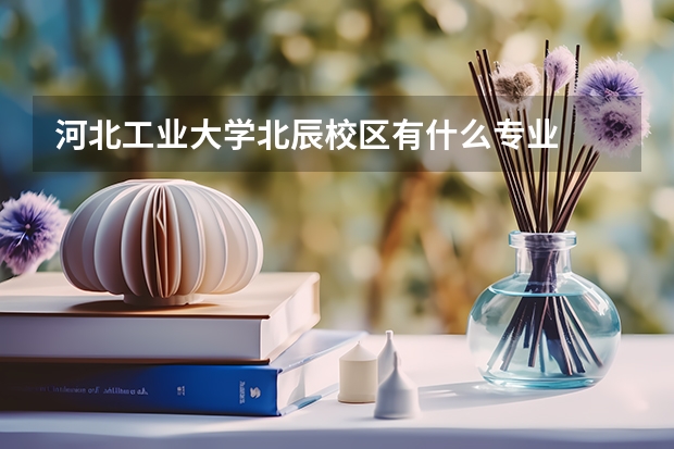 河北工业大学北辰校区有什么专业