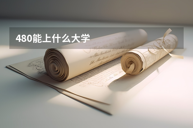 480能上什么大学