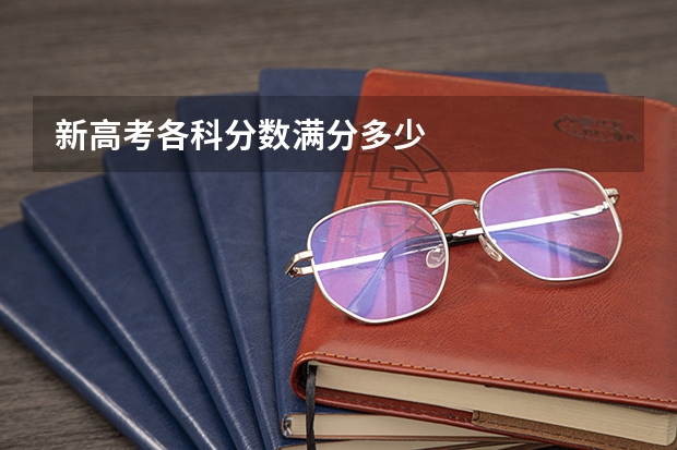新高考各科分数满分多少