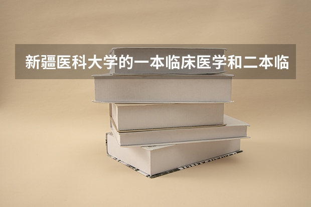 新疆医科大学的一本临床医学和二本临床医学有什么不同？