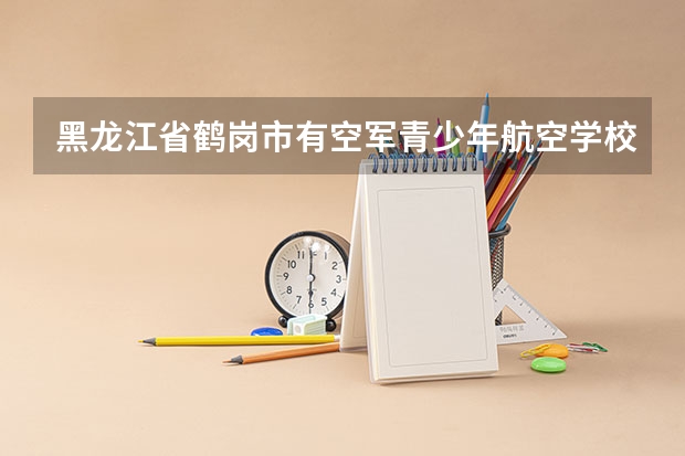 黑龙江省鹤岗市有空军青少年航空学校吗?