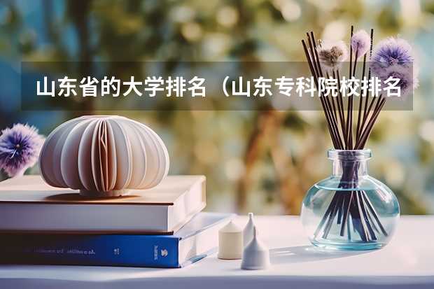 山东省的大学排名(山东专科院校排名)
