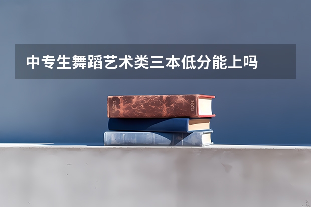 中专生舞蹈艺术类三本低分能上吗
