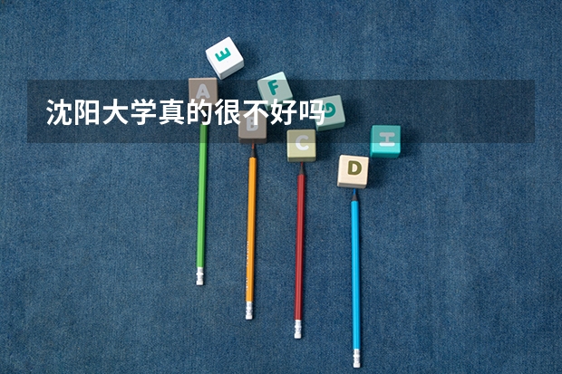 沈阳大学真的很不好吗