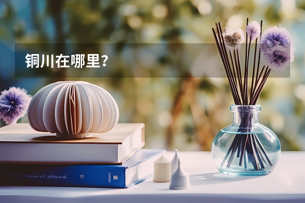 铜川在哪里?
