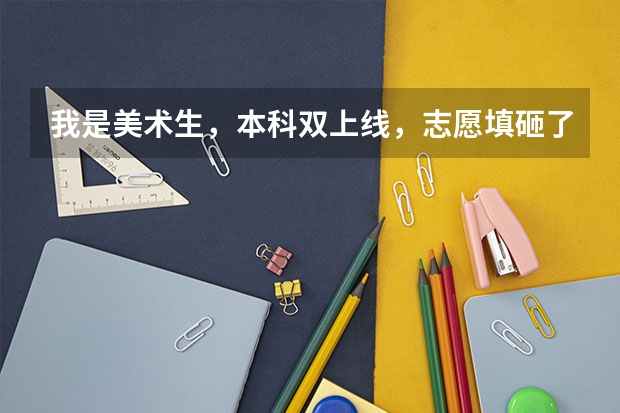 我是美术生,本科双上线,志愿填砸了,还有补录机会吗