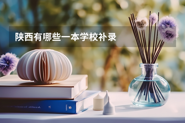 陕西有哪些一本学校补录