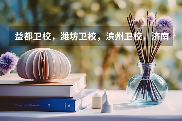 益都卫校,潍坊卫校,滨州卫校,济南卫校,泰安卫校,哪个卫校比较好?简单说明一下各个卫校的优劣!