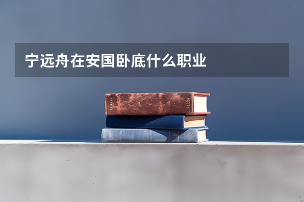 宁远舟在安国卧底什么职业