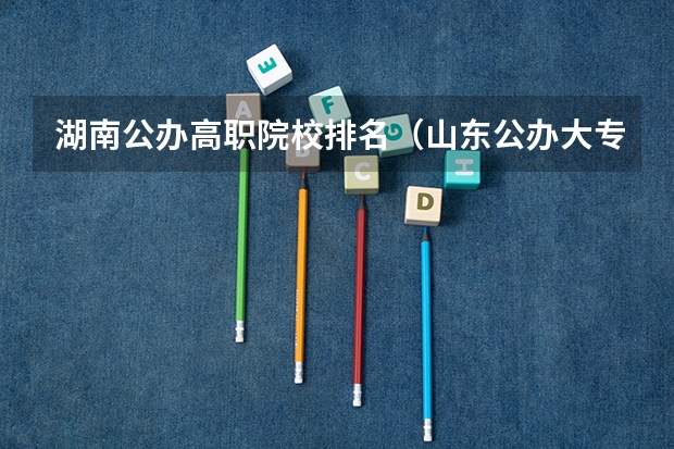 湖南公办高职院校排名（山东公办大专学校排名）