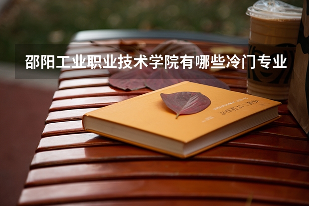 邵阳工业职业技术学院有哪些冷门专业?