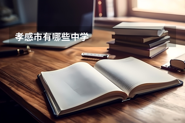 孝感市有哪些中学