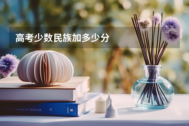 高考少数民族加多少分