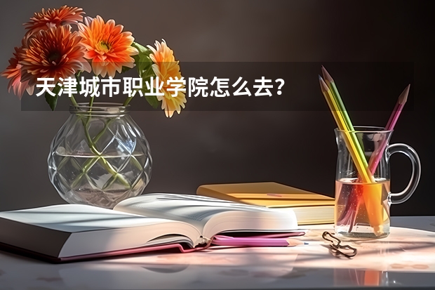 天津城市职业学院怎么去?