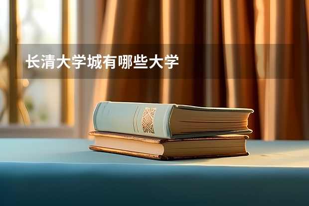 长清大学城有哪些大学