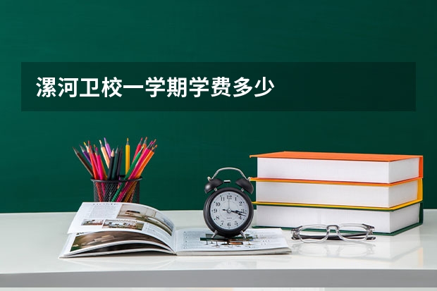 漯河卫校一学期学费多少