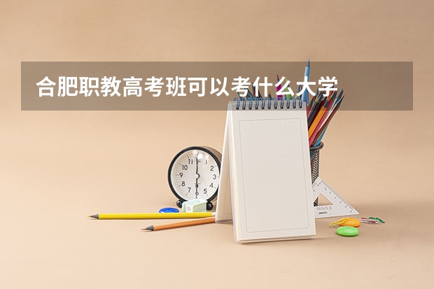 合肥职教高考班可以考什么大学