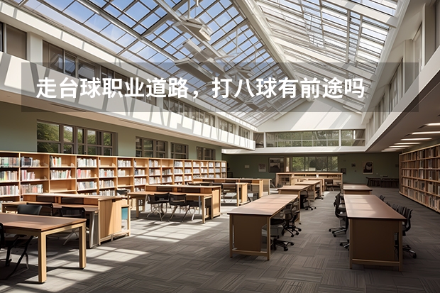 走台球职业道路,打八球有前途吗