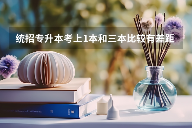 统招专升本考上1本和三本比较有差距吗