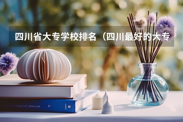 四川省大专学校排名（四川最好的大专排名）