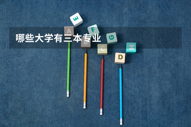 哪些大学有三本专业