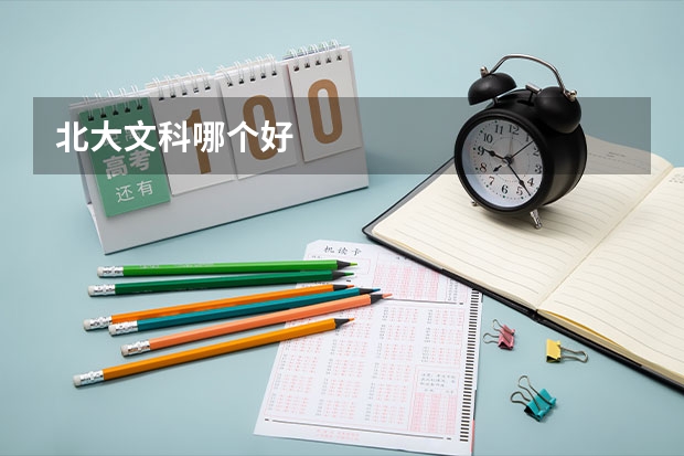 北大文科哪个好