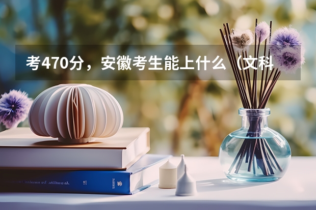 考470分,安徽考生能上什么(文科)