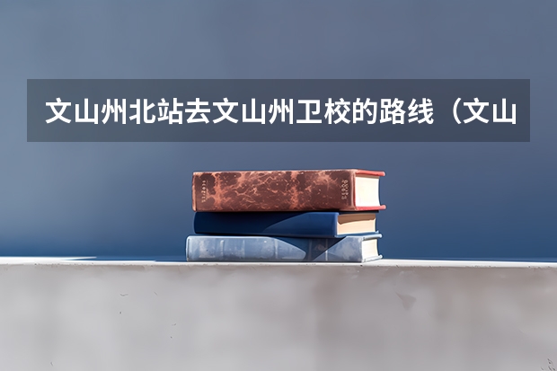 文山州北站去文山州卫校的路线(文山州普者黑机场到云南省文山州文山市职教园区卫校多远)
