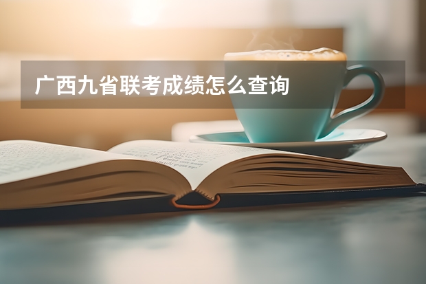 广西九省联考成绩怎么查询