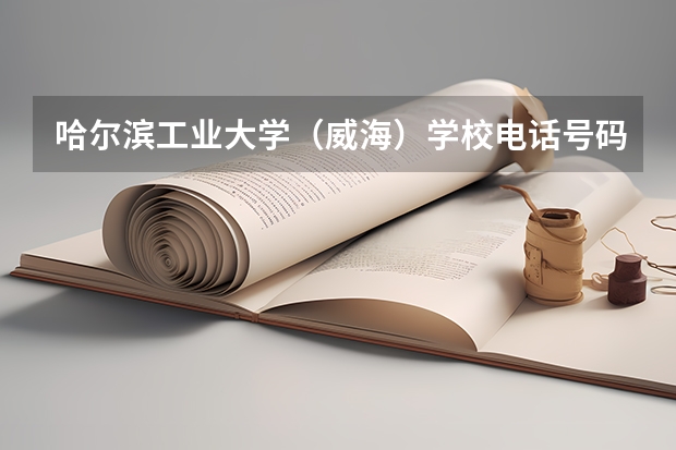 哈尔滨工业大学（威海）学校电话号码是多少