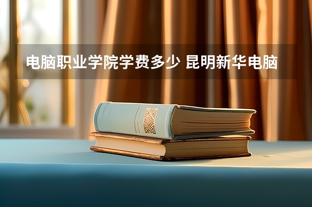 电脑职业学院学费多少 昆明新华电脑学校学费多少?